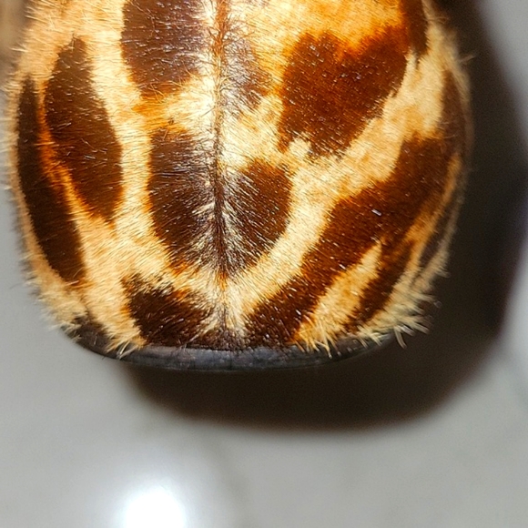 New Christian Louboutin Leopard Print Flats with Black Bow Size US7/EU37 - Picture 5 of 12